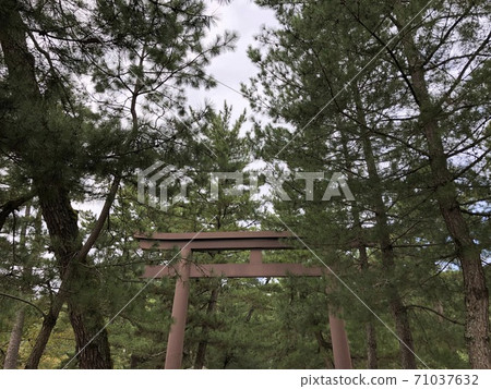 《Izumo Taisha Iron Three Torii (Torii on the approach to the pine tree, Torii in the middle)》 (Izumo City, Shimane Prefecture) 71037632
