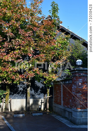 Gifu Castle in autumn, the land of the taiga drama 71038428