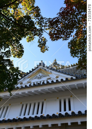 Gifu Castle in autumn, the land of the taiga drama 71038478