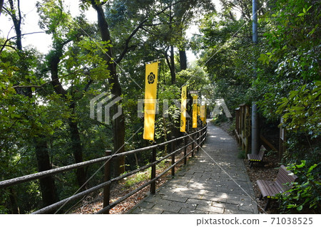 秋天的岐阜城，大河戲劇之地 71038525