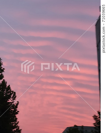 Red dawn sky 71039665