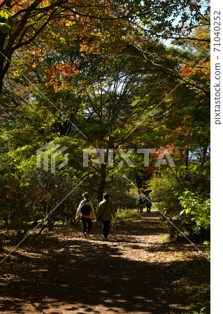 Akagi Nature Park in autumn colors Akagi Nature Park in autumn colors 71040252