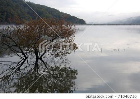 Autumn reservoir landscape 71040716
