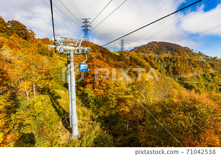 (新潟縣湯澤町)苗場龍朵拉秋葉 (新潟縣湯澤町)苗場龍朵拉秋葉 71042538
