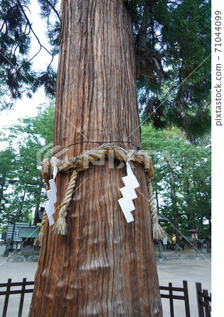 莊重而安靜的信州安umi野孝高神社 莊重而安靜的信州安umi野孝高神社 71044099