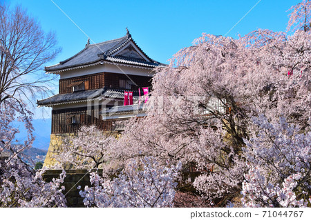 Sakura View Ueda Castle Minami Yagura 71044767