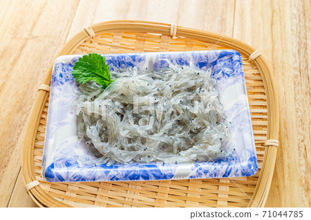 生的shirasu 生的shirasu 71044785