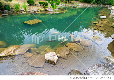 Kokkoji Pond 71044834
