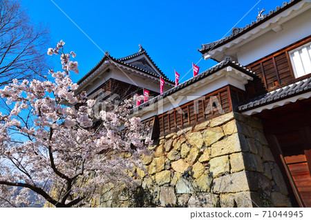 Spring Ueda Castle Spring Ueda Castle 71044945