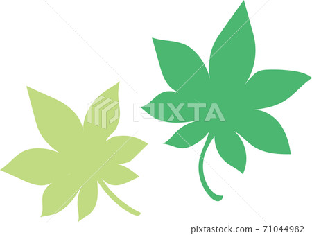 綠葉 71044982