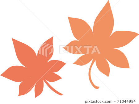 秋天的樹葉 71044984