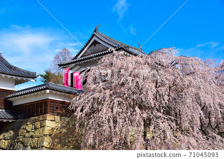 上田春天城堡北塔 上田春天城堡北塔 71045093