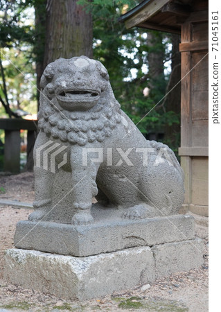 信守安A野穗高神社(若宮神社) 信守安A野穗高神社(若宮神社) 71045161