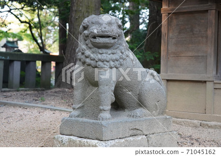 信守安A野穗高神社(若宮神社) 信守安A野穗高神社(若宮神社) 71045162