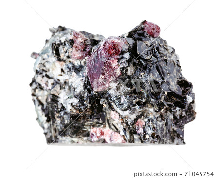 unpolished red Garnet crystals in Biotite isolated 71045754