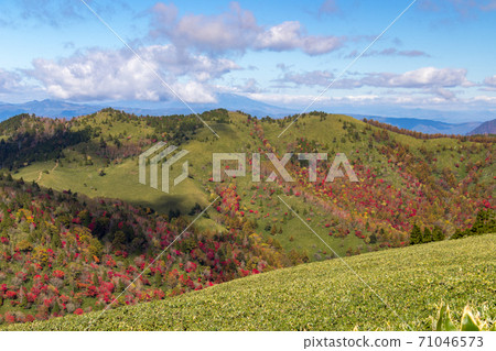 紅富士高原上的秋葉 71046573