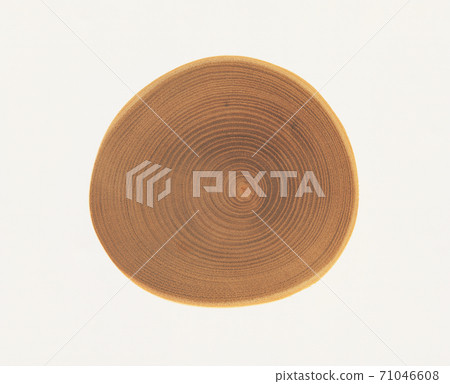 Lumber 71046608
