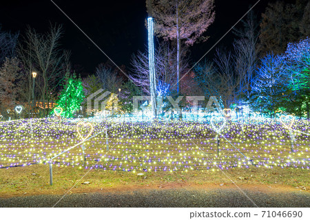 Illuminations National Alps Azumi Park [Nagano Prefecture] 71046690