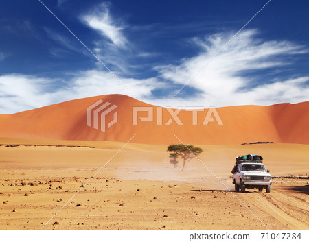 Sahara Desert, Algeria Sahara Desert, Algeria 71047284