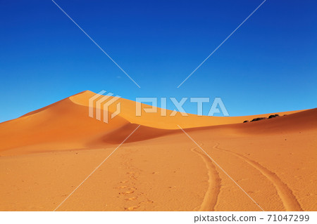 Sahara Desert, Algeria Sahara Desert, Algeria 71047299