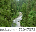 A torrent river flowing through the forest 71047372