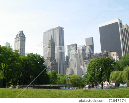 View of New York skyscrapers from the park 71047374