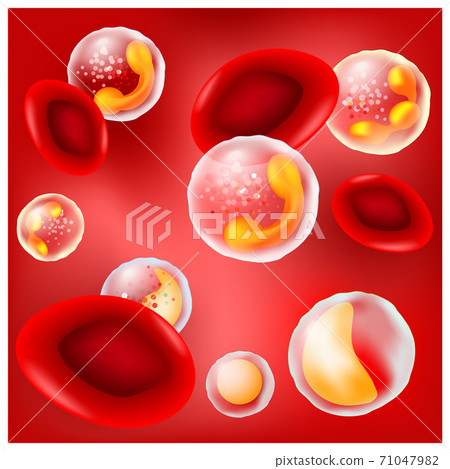 red blood cells and white blood cells on red background 71047982