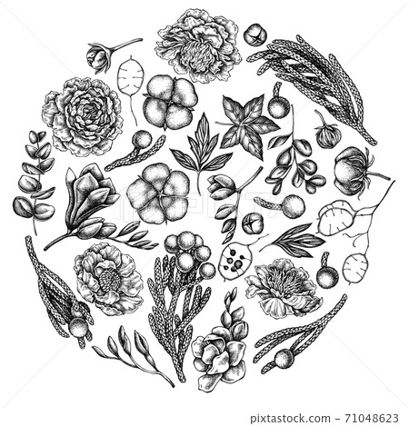 Round floral design with black and white ficus, eucalyptus, peony, cotton, freesia, brunia Round floral design with black and white ficus, eucalyptus, peony, cotton, freesia, brunia 71048623