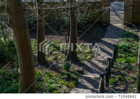 Old brick gate, entrance to the forest park 71048642