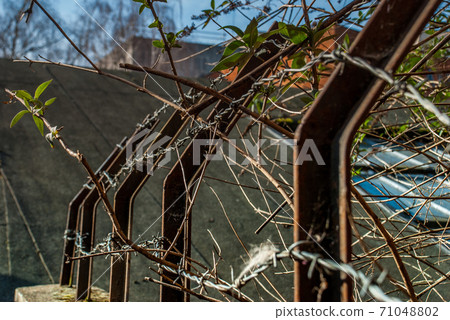Details of iron fence, stone wall and trees 71048802