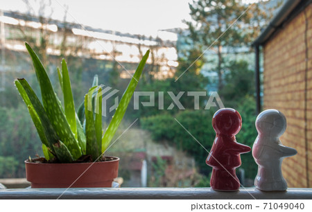 Lovers dolls and avocado trees Lovers dolls and avocado trees 71049040