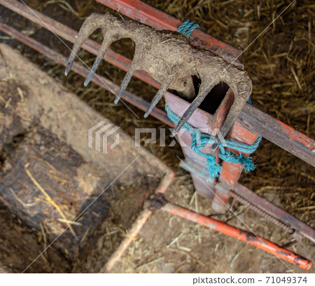 Old dirty rake standing on a handrail over at wheelbarrow in cowsheet, close up view. Old dirty rake standing on a handrail over at wheelbarrow in cowsheet, close up view. 71049374