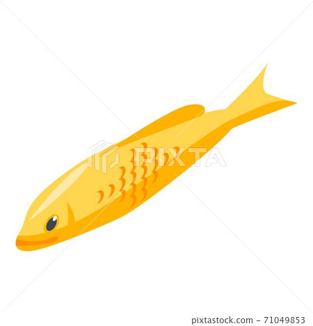 Yellow koi carp icon, isometric style 71049853