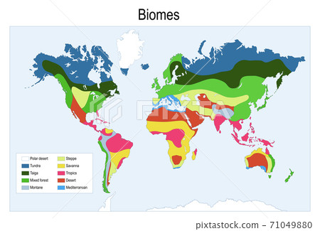 Biomes On A World Map Color Map Of The Main Biomes In The World. - Stock Illustration [71049880]  - Pixta