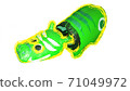 Green beco 71049972
