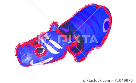 Blue beco 71049976