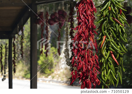 different kinds of hanging chili peppers, Apulia, Italy 71050129