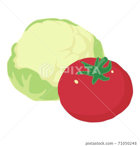 Colorful vegetable icon, isometric style 71050248