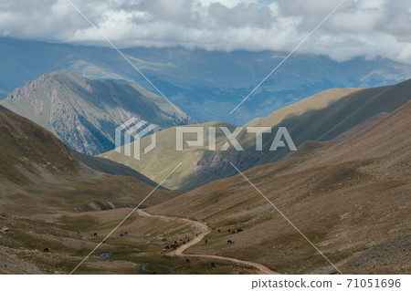 Panorama of road in mountains of national park Dombay, Caucasus Panorama of road in mountains of national park Dombay, Caucasus 71051696