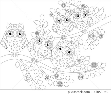 Coloring book for adult and older children. Coloring page with cute owl and floral frame. Outline drawing in zentangle style Coloring book for adult and older children. Coloring page with cute owl and floral frame. Outline drawing in zentangle style 71051969
