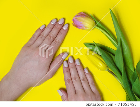 Female manicure on a bright background. Yellow Female manicure on a bright background. Yellow 71053453