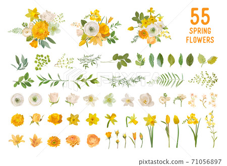 Spring garden flowers, yellow daffodil, mustard rose, white fresia, eucalyptus, greenery, fern 71056897