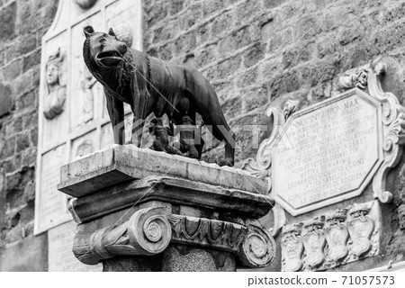 Capitoline Wolf, Italian: Lupa Capitolina - bronze sculpture of she-wolf nurses Romulus and Remus, Capitoline Hill, Rome, Italy Capitoline Wolf, Italian: Lupa Capitolina - bronze sculpture of she-wolf nurses Romulus and Remus, Capitoline Hill, Rome, Italy 71057573