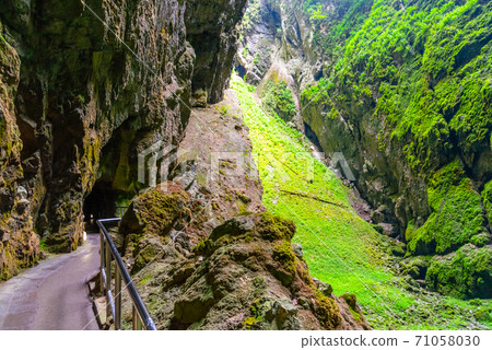 Macocha Abyss - large limestone gorge in Moravian Karst, Czech: Moravsky Kras, Czech Republic. View from bottom. 71058030