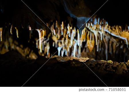 Illuminated picturesque karst rock formations in Balcarka Cave, Moravian Karst, Czech: Moravsky Kras, Czech Republic 71058031