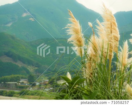 山又薄 山又薄 71058257