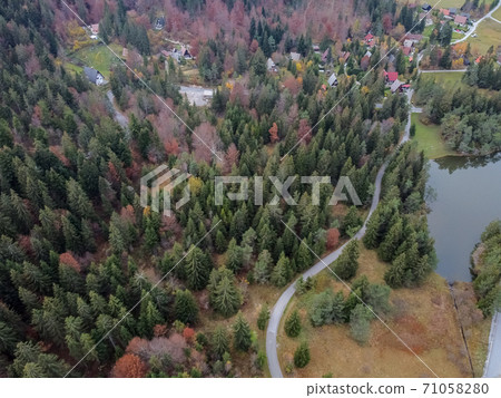 road in the autumn forest drone view 71058280