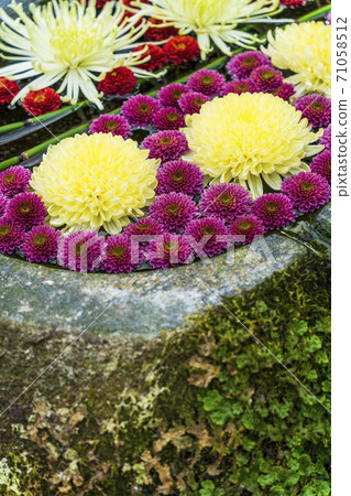 福島縣日本松市市花水清（Kikutemizu） 71058512