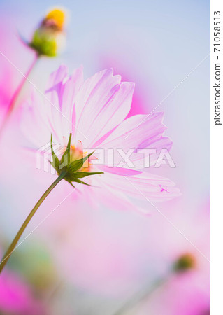 宇宙風光 宇宙風光 71058513