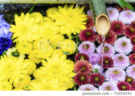 福島縣日本松市市花水清（Kikutemizu） 71058541